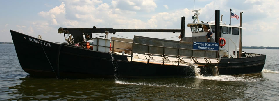 SliderBoatREL