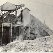 Historic Photo Oysters were once so plentiful, they were a navagational hazard.