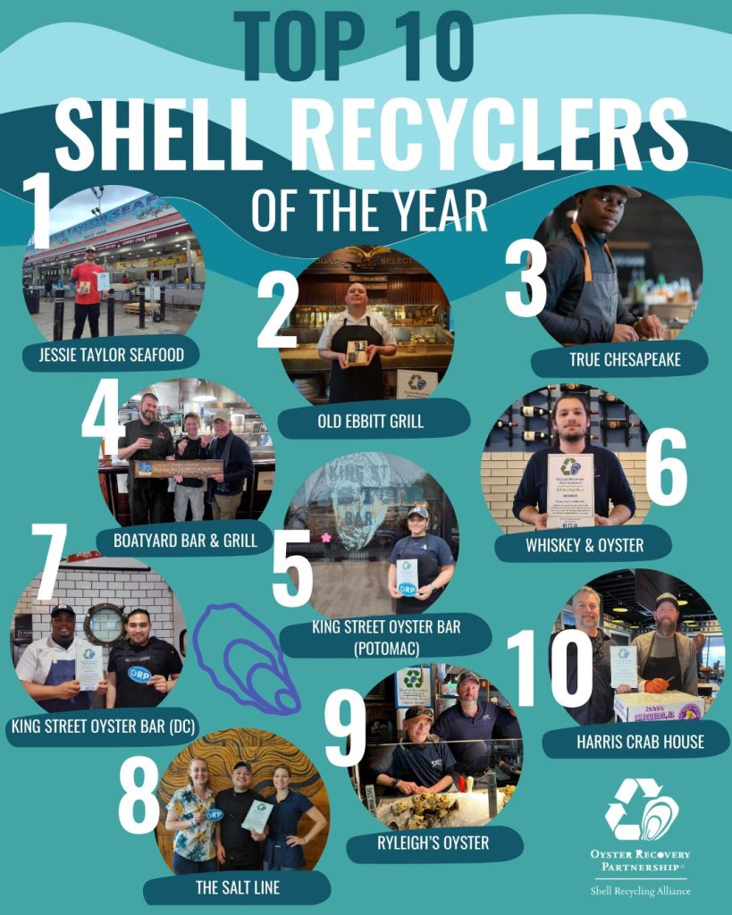 Top Ten Shell Recycling Contributors of 2025