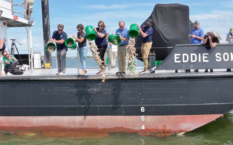 Five men and women dumping buckets of oysters shells overboard into the water from a large vessel