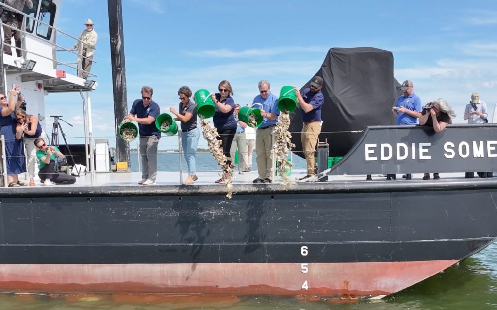 Men and women pouring buckets of oysters overboard vessel