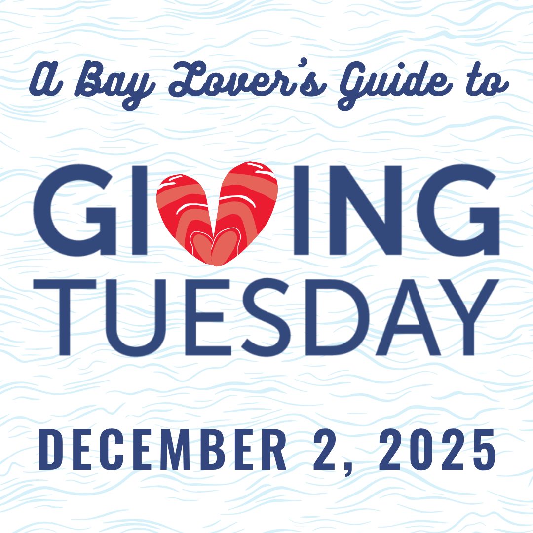 Bay Lovers Guide to GivingTuesday 12/2/25