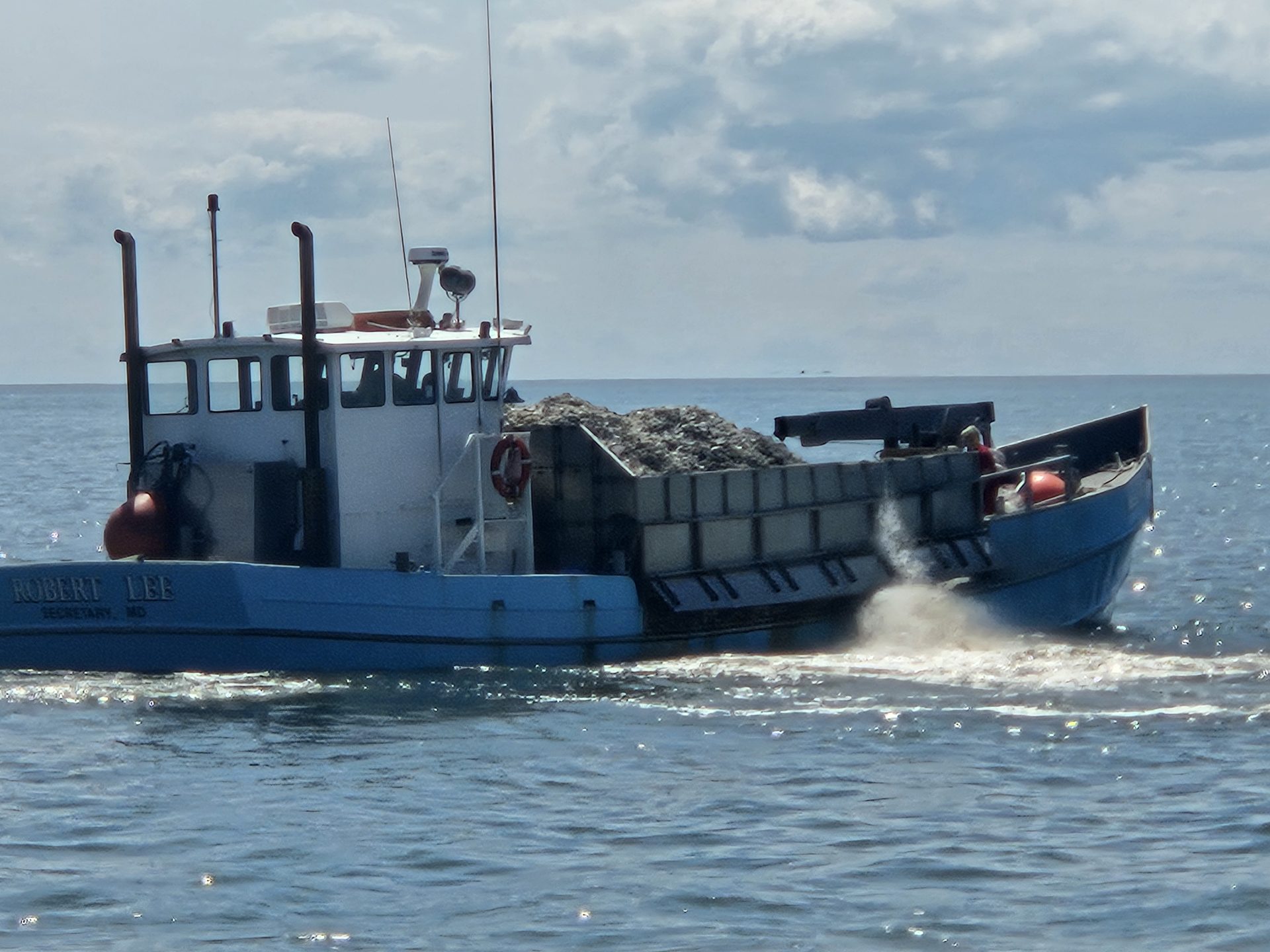 Boat piled with oysters and floating over side. Sunny day.