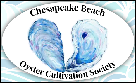 https://www.oysterrecovery.org/wp-content/uploads/2026/06/Chesapeake-Beach-Oyster-Cultivation-Society.png