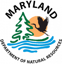 https://www.oysterrecovery.org/wp-content/uploads/2026/06/maryland_dnr_logo.png