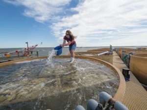 Woman standing in setting tank, emptying bucket.