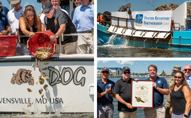 Press-Release-Header-1 Press-Release-Header-1