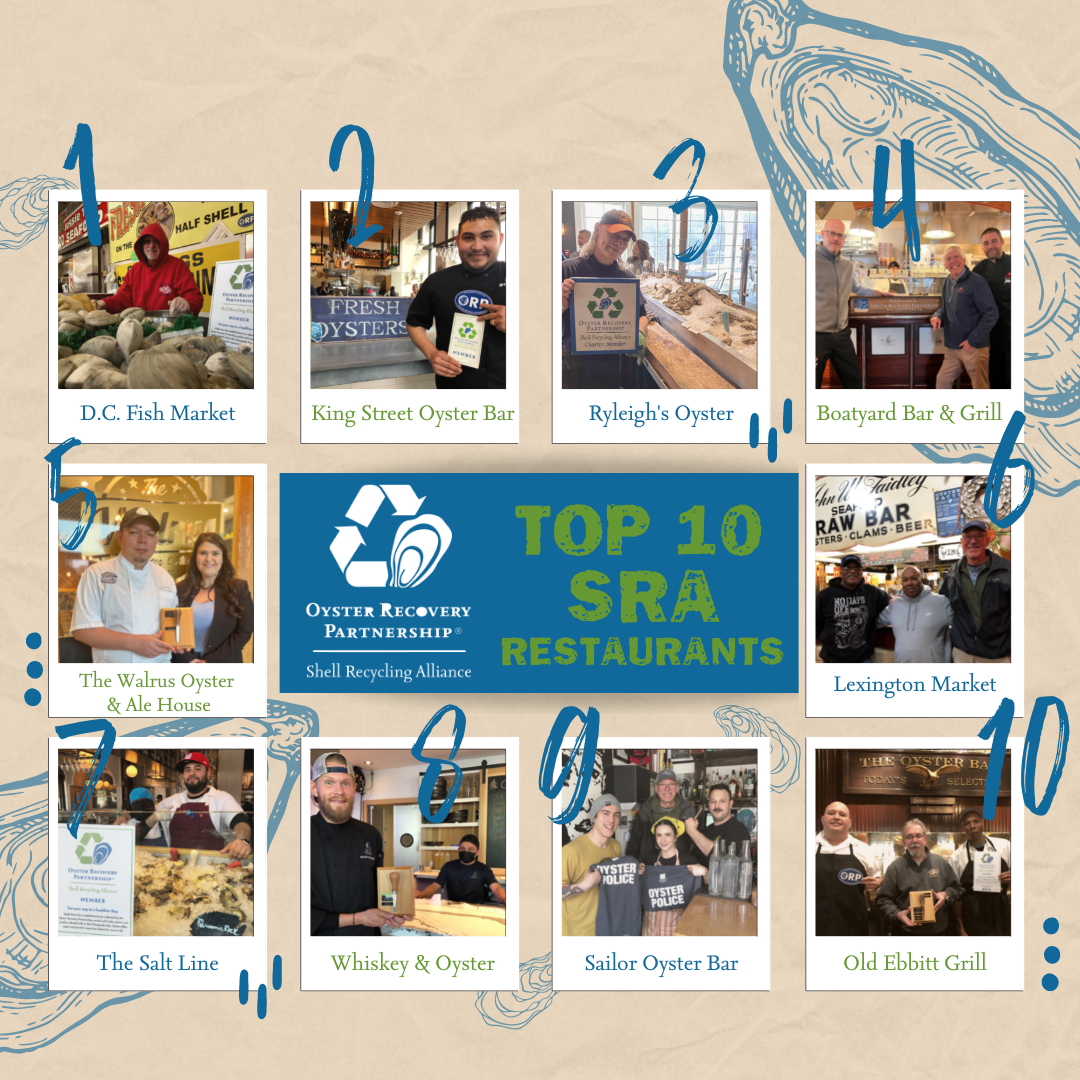 TOP-10-SRA-for-2021-Instagram-Post-1 TOP-10-SRA-for-2021-Instagram-Post-1